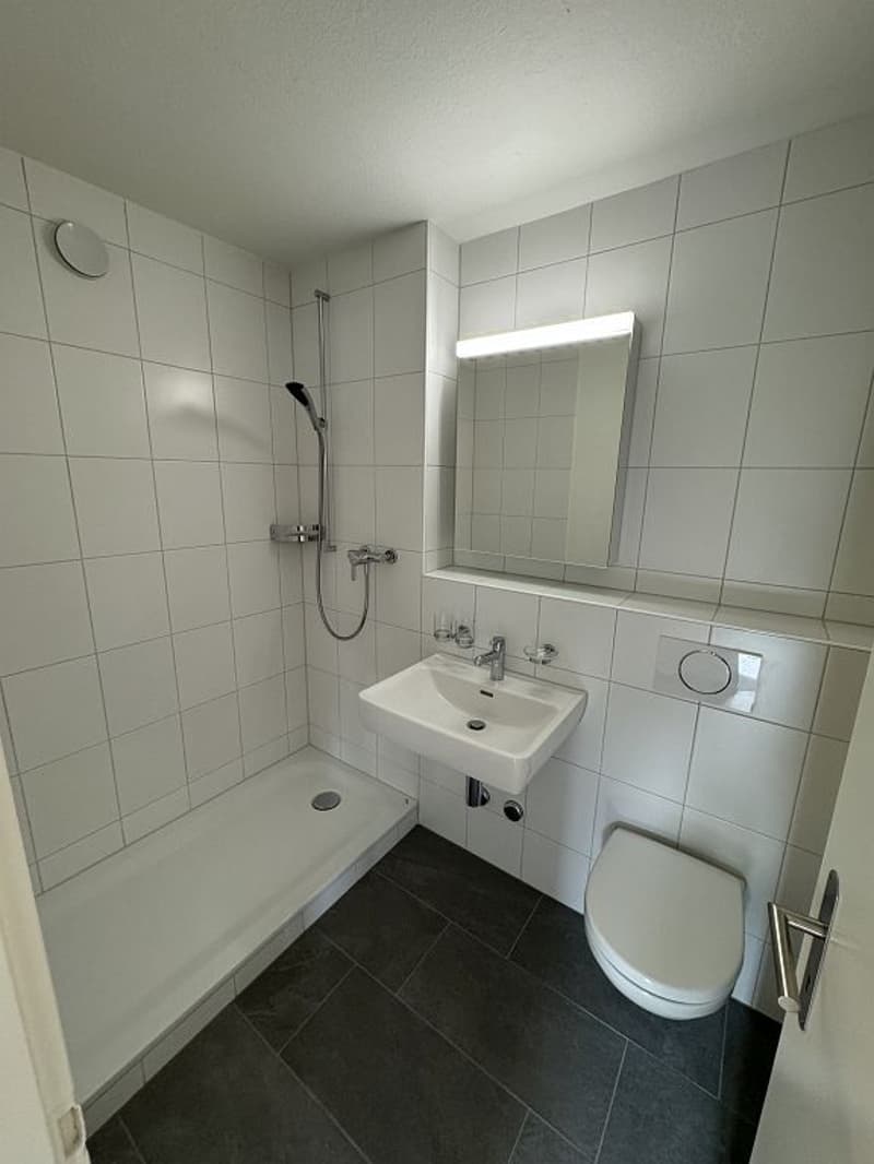 Appartamento 2 camere, 1° piano medio (6)