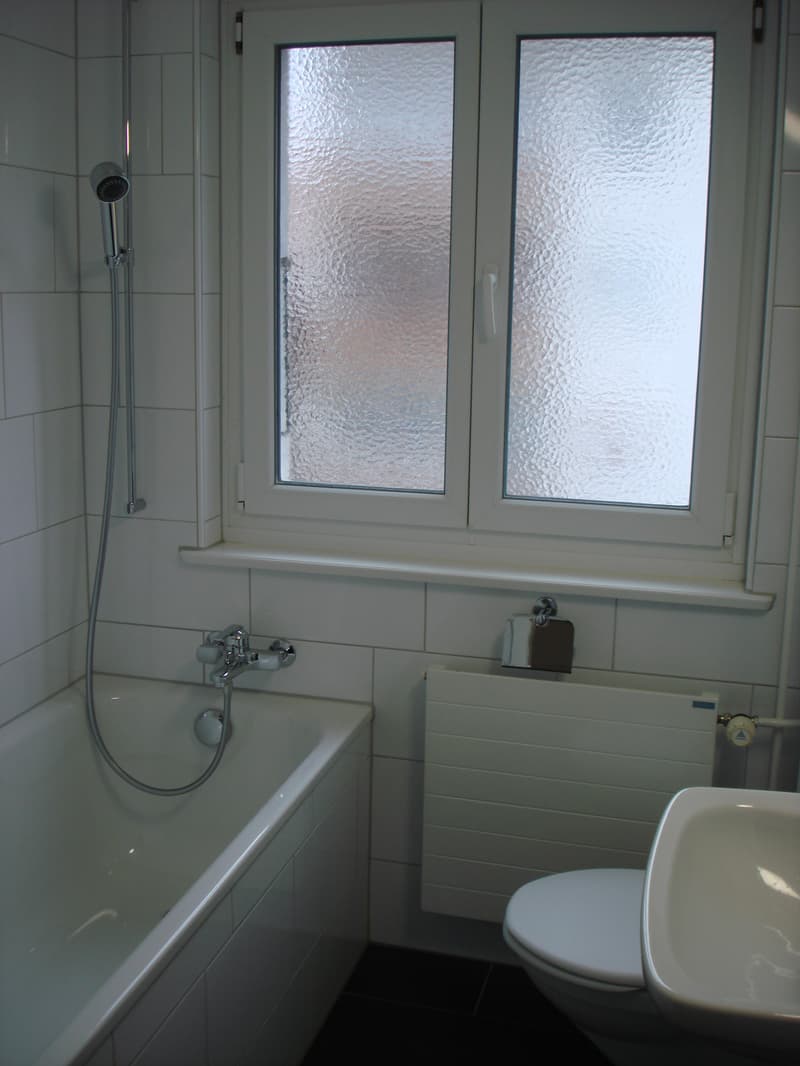 Appartement 3 pièces, 1er étage droite (6)