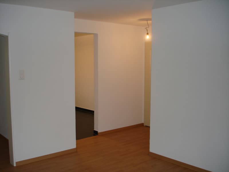 Appartement 3 pièces, 1er étage droite (3)