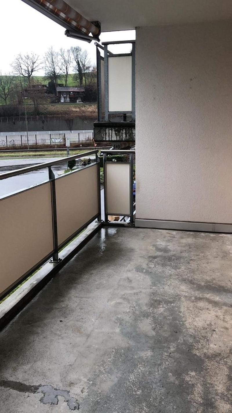 3 1/2-room apartment, ground floor right (8)