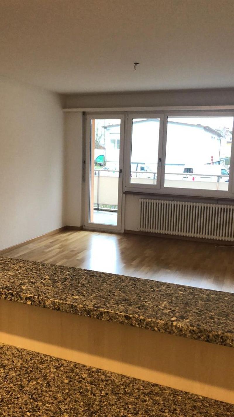 3 1/2-room apartment, ground floor right (6)