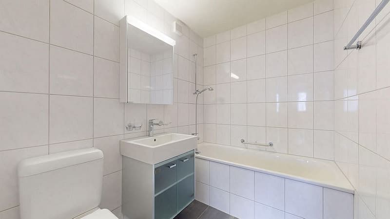 4 1/2-room apartment, 1st floor left (11)
