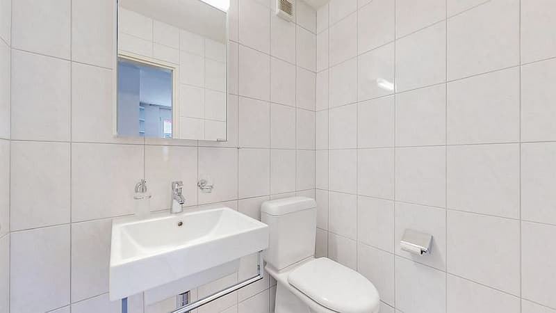 4 1/2-room apartment, 1st floor left (12)