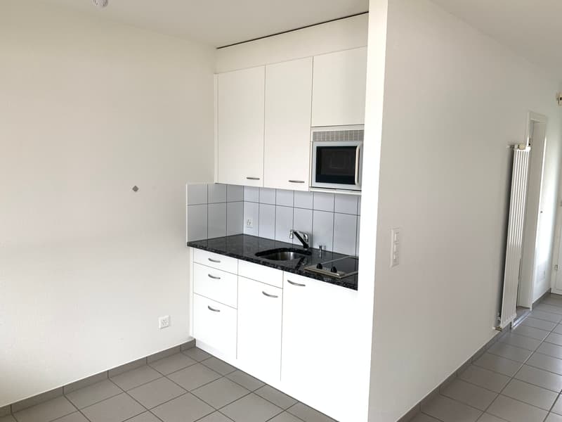 1 1/2-Zimmerwohnung, Parterre (2)