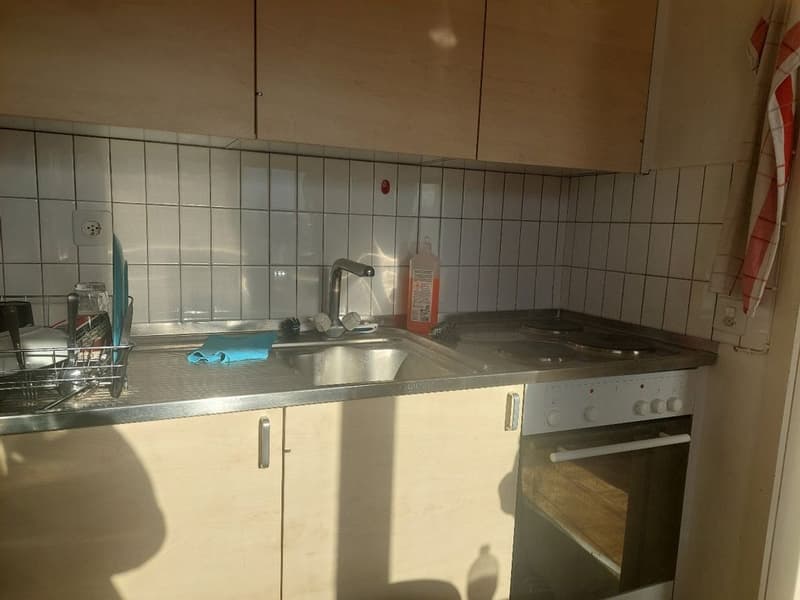 3-Zimmerwohnung, 2. Stock links (4)