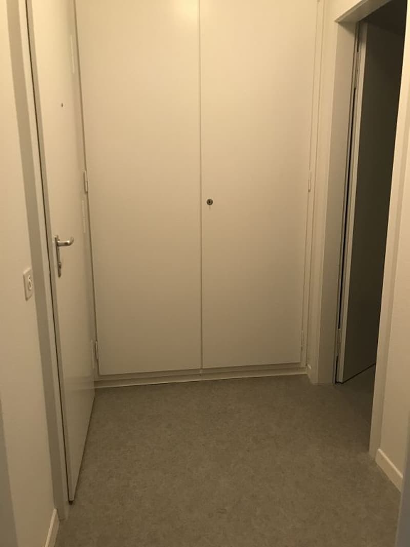 3-Zimmerwohnung, 2. Stock links (2)