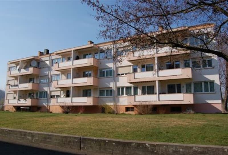 3-Zimmerwohnung, 2. Stock links (1)