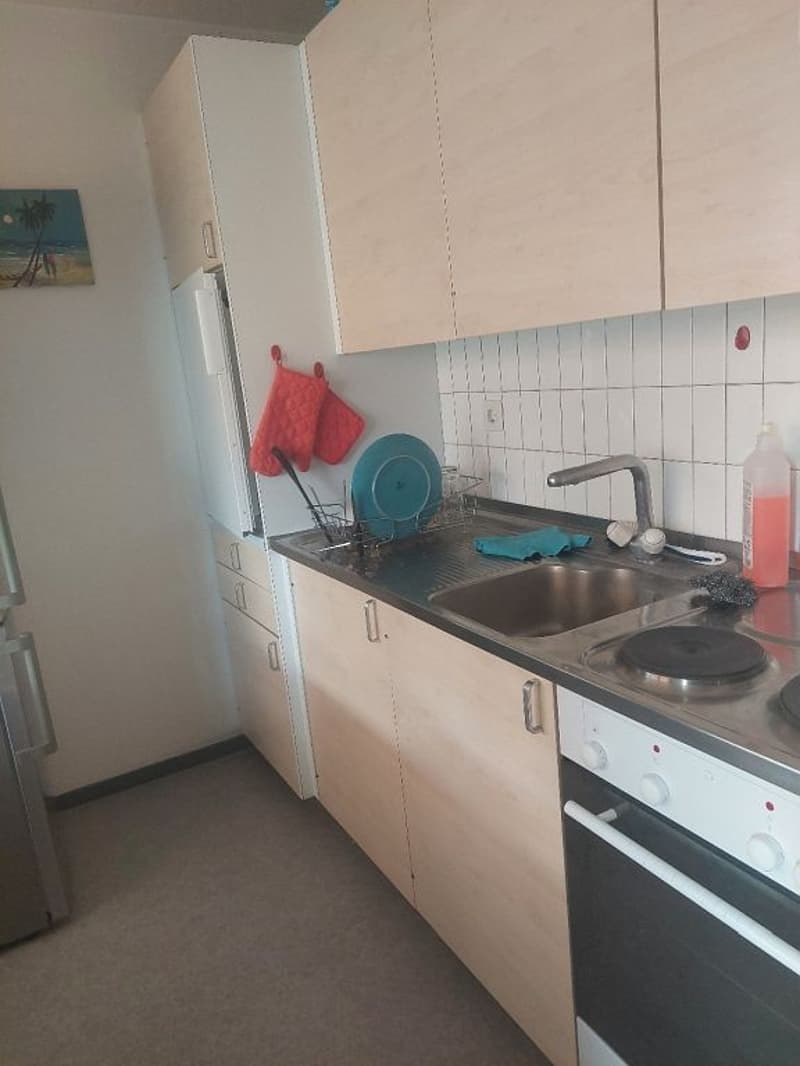 3-Zimmerwohnung, 2. Stock links (3)