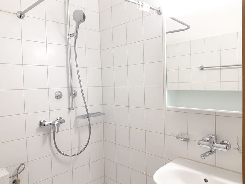 Appartement 1 pièce central dans la vieille ville de Bienne (5)