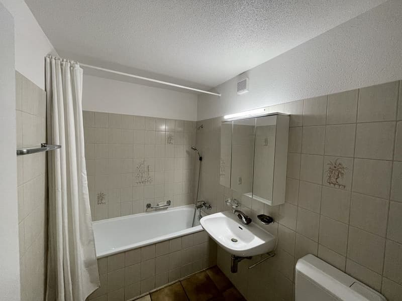 3 1/2-Zimmerwohnung, 1. Stock links (7)