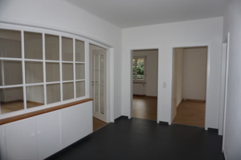 4 1/2-room apartment, ground floor right (2)