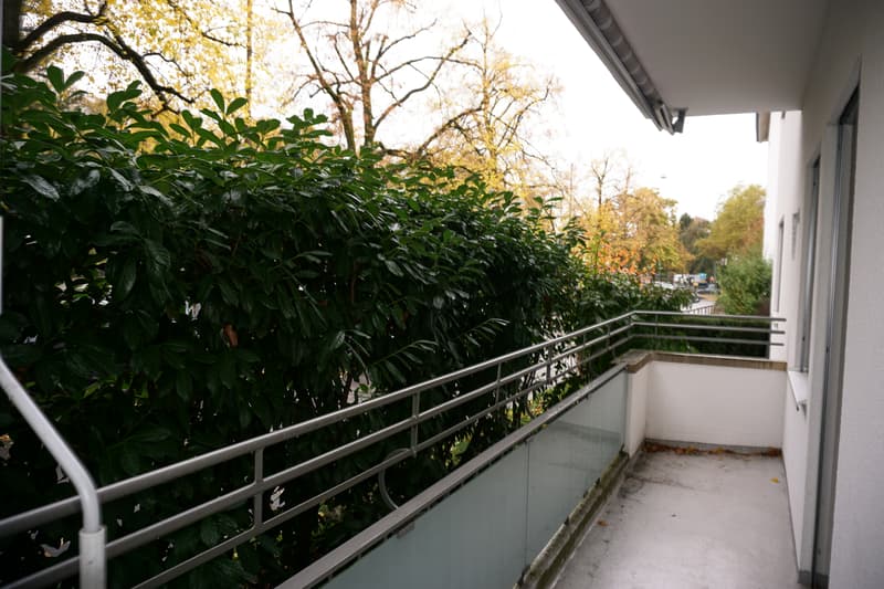4 1/2-room apartment, ground floor right (10)