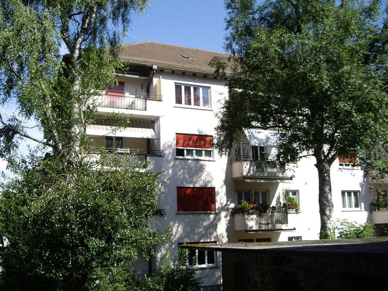 4 1/2-room apartment, ground floor right (1)