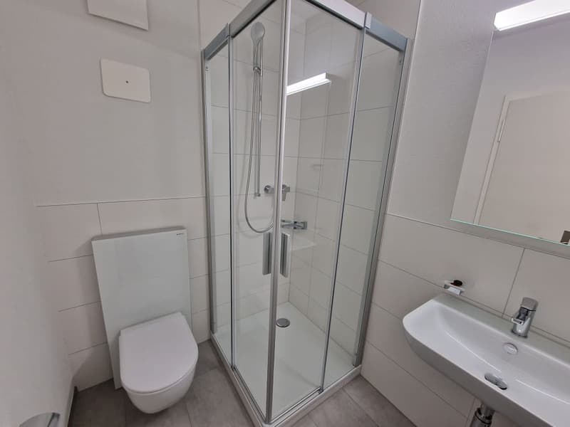 Appartements 2,5 pièces, rez-de-chaussée et 2e étage à droite (7)