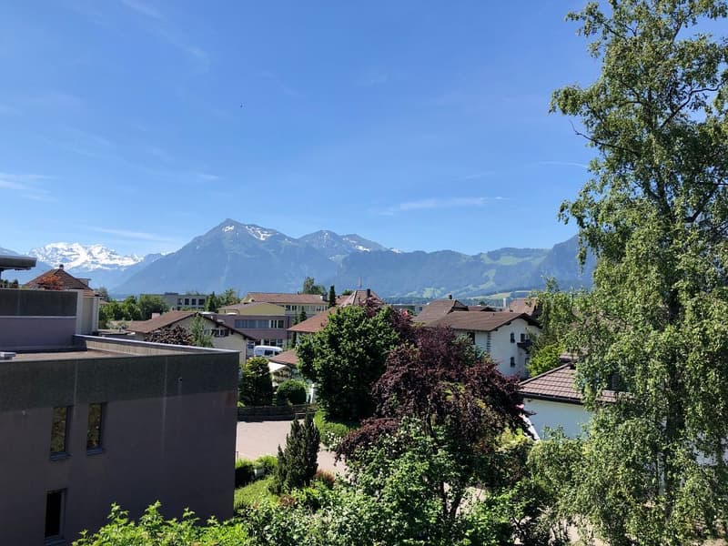 Spacious 3-room apartment with fantastic views (7)