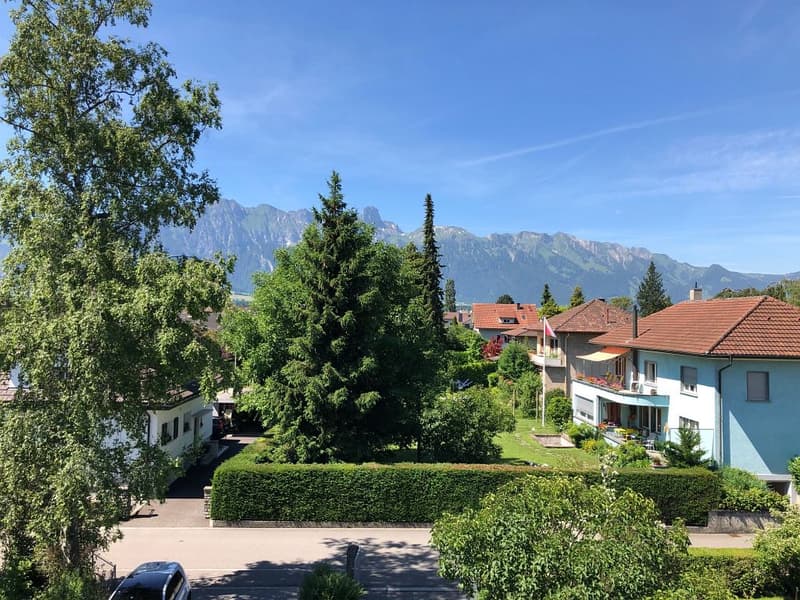 Spacious 3-room apartment with fantastic views (6)