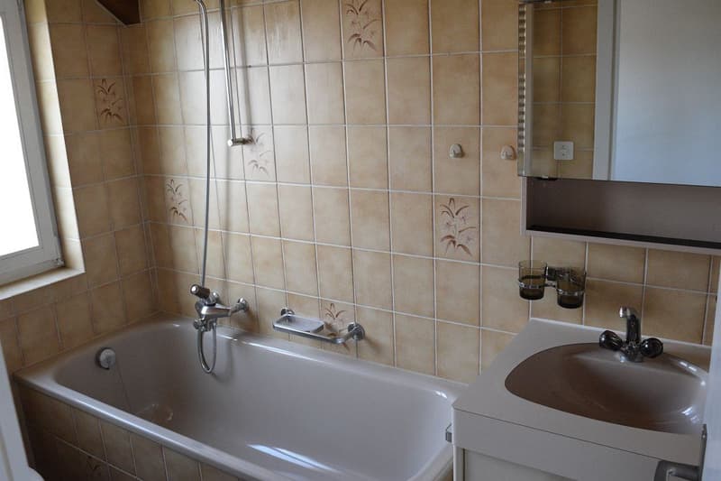 3 1/2-room apartment, 3rd floor (5)