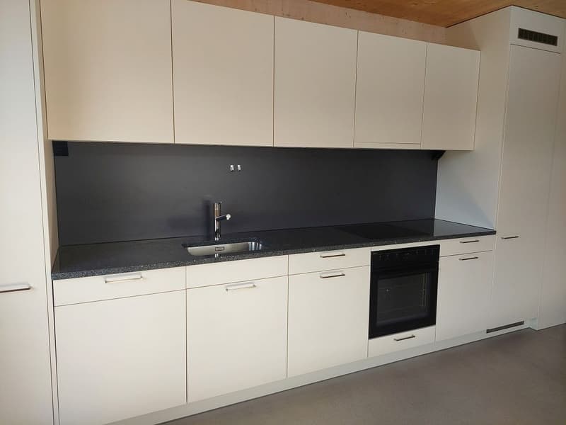 3.5-room apartment, ground floor left (3)
