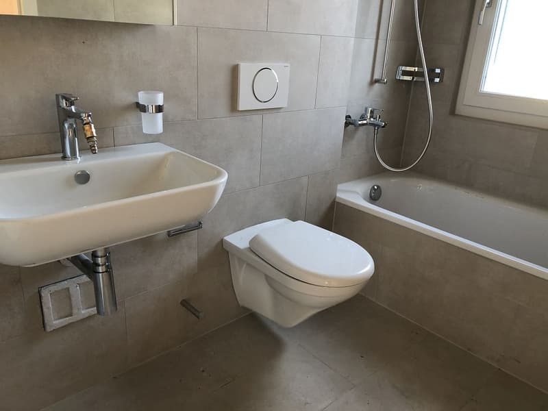 3.5-room apartment, ground floor left (6)