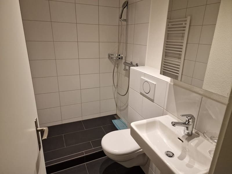 Modern 3-room apartment, 1st floor left (7)