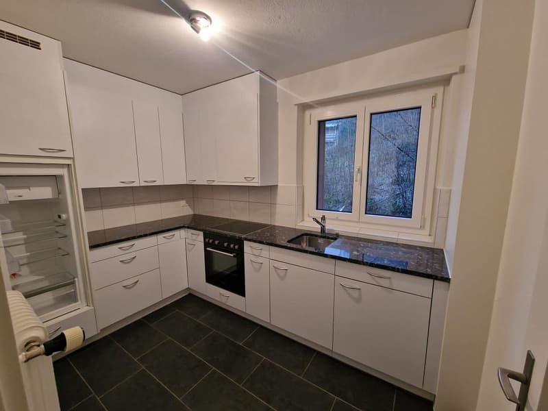 moderne 3-Zimmerwohnung, 1. Stock links (2)