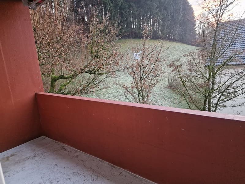 moderne 3-Zimmerwohnung, 1. Stock links (8)
