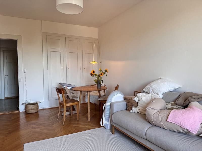 2.5-room apartment on the 3rd floor (6)