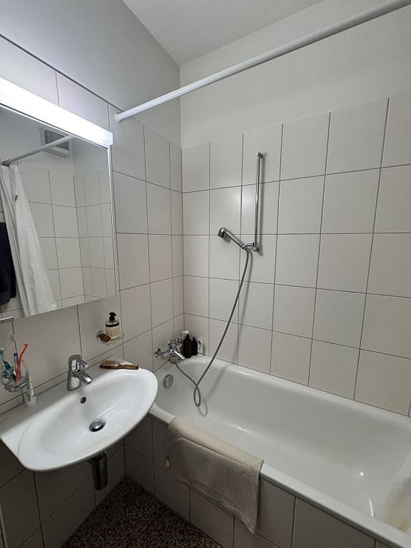 2.5-room apartment on the 3rd floor (8)