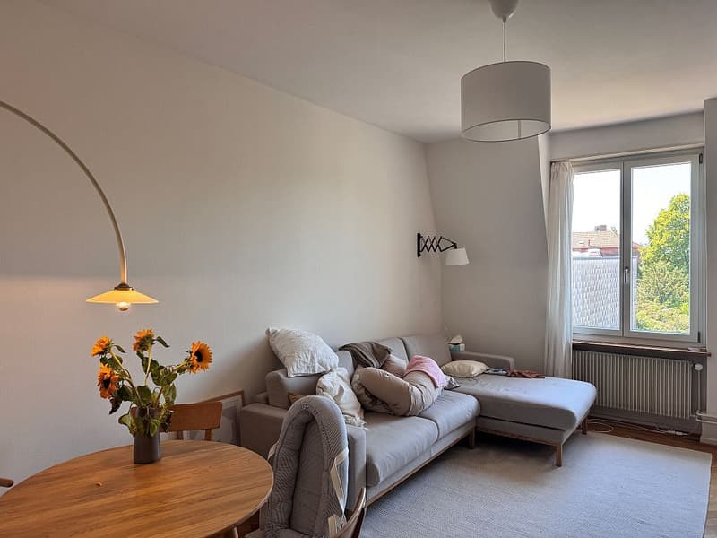 2.5-room apartment on the 3rd floor (7)