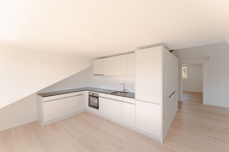 Appartement de 3 1/2 pièces dans les combles à gauche (2)