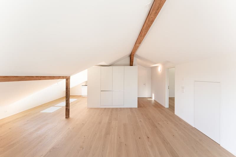 Appartement de 3 1/2 pièces dans les combles à gauche (5)