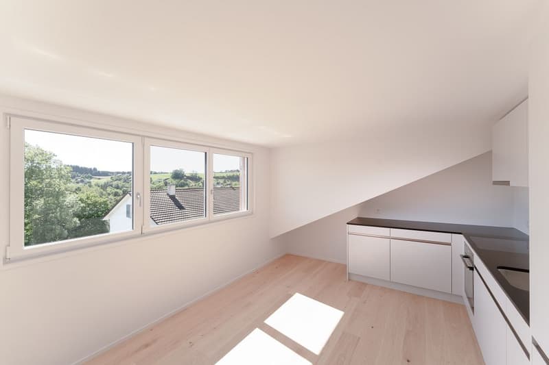 Appartement de 3 1/2 pièces dans les combles à gauche (3)