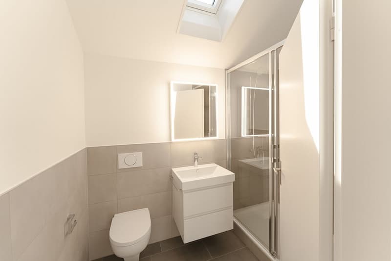 Appartement de 3 1/2 pièces dans les combles à gauche (8)