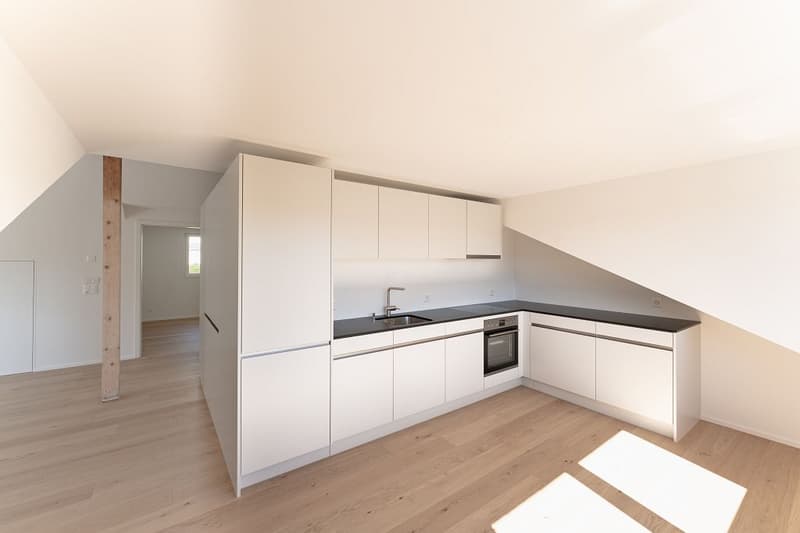 Appartement de 2 1/2 pièces dans les combles à droite (2)