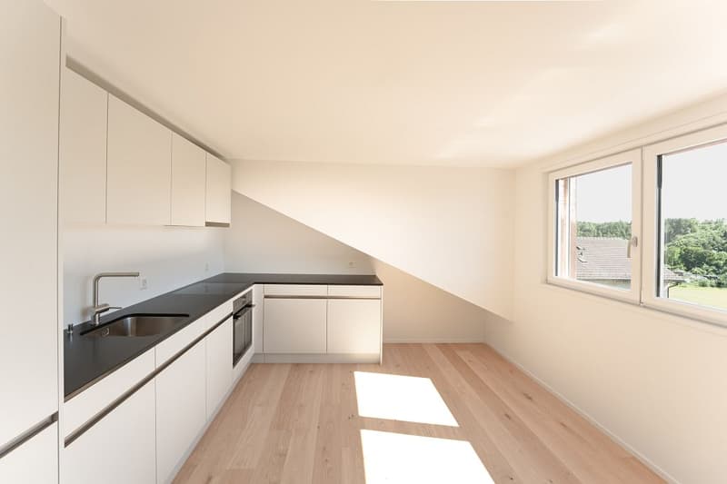 Appartement de 2 1/2 pièces dans les combles à droite (3)
