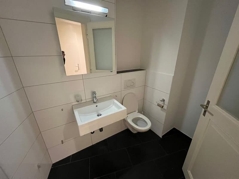 3-Zimmerwohnung, 3. Stock (6)