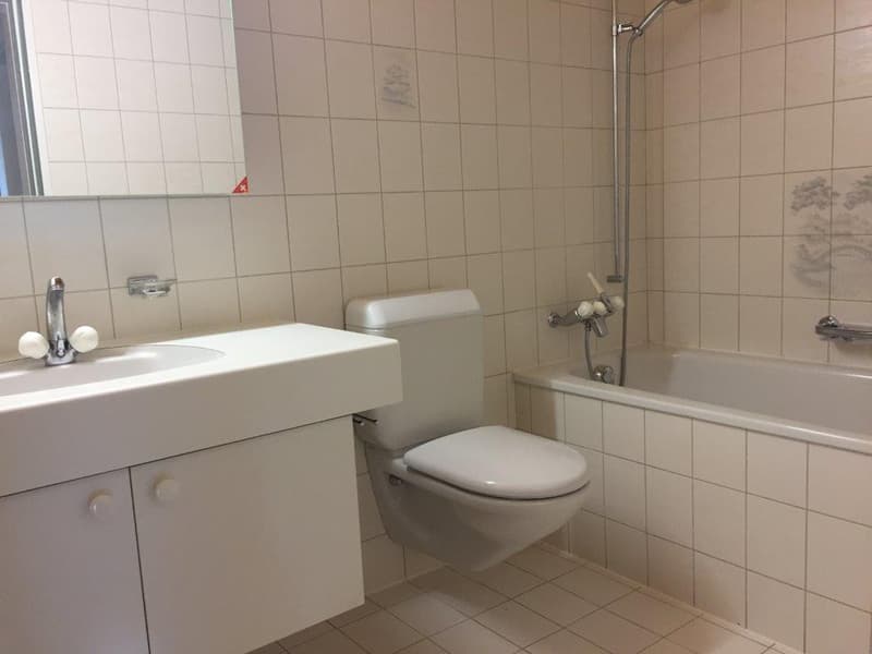 3 1/2-Zimmerwohnung, 2. Stock links (4)