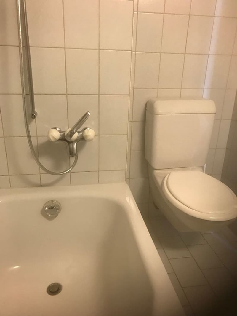 Appartamento 2 camere, 2° piano centrale (6)