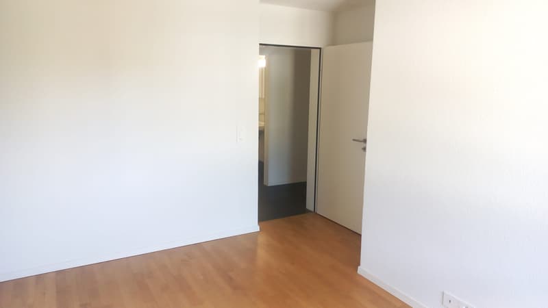 Bel appartement 4 1/2 pièces au 1er étage (8)