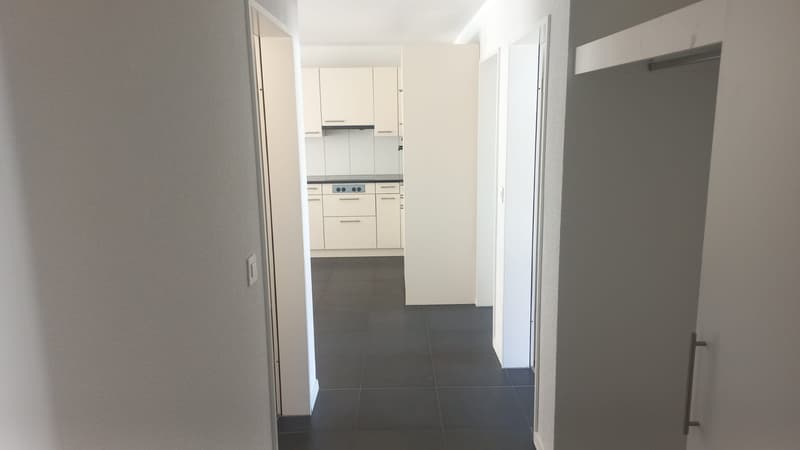 Bel appartement 4 1/2 pièces au 1er étage (1)