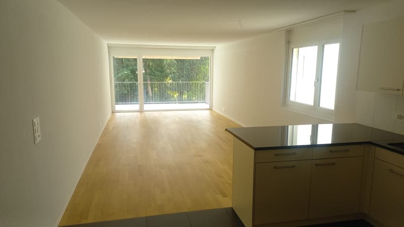 Bel appartement 4 1/2 pièces au 1er étage (6)