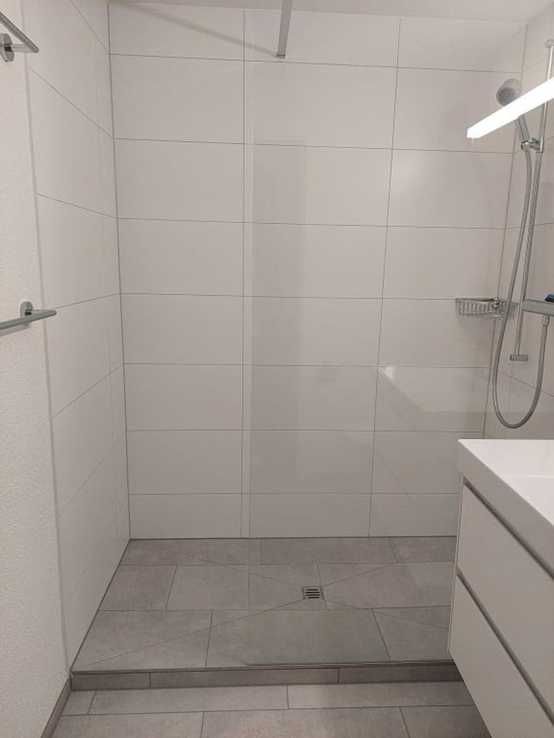 Appartamento 2 camere, 1° piano sinistro (9)