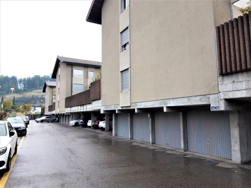 Appartamento 2 camere, 1° piano sinistro (3)