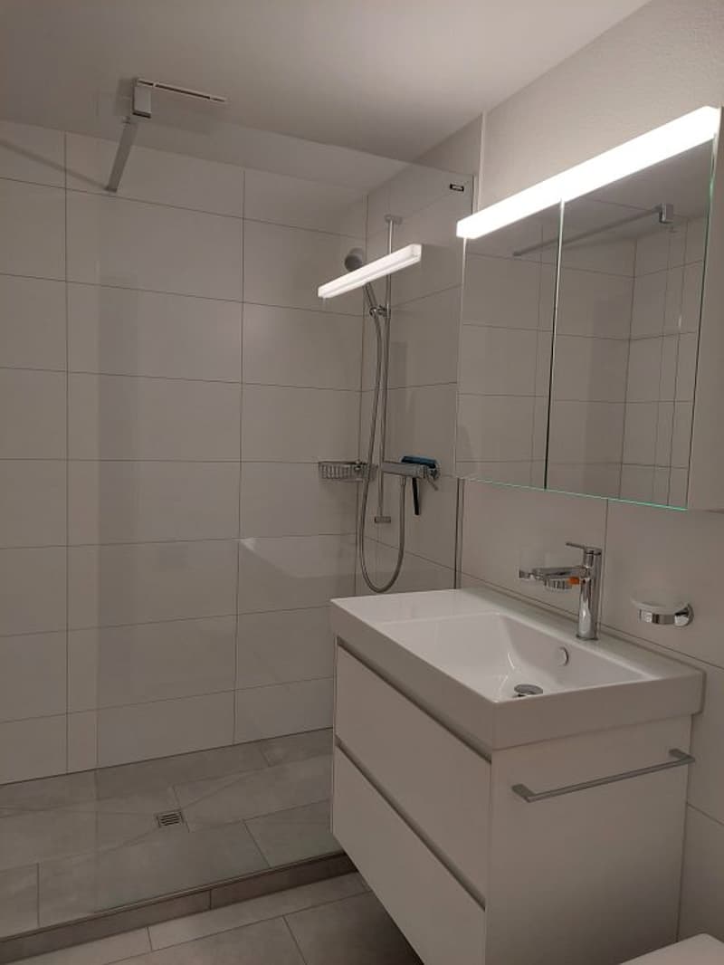 Appartamento 2 camere, 1° piano sinistro (8)