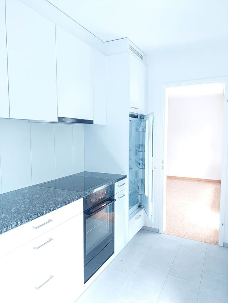 Appartamento 2 camere, 1° piano sinistro (5)