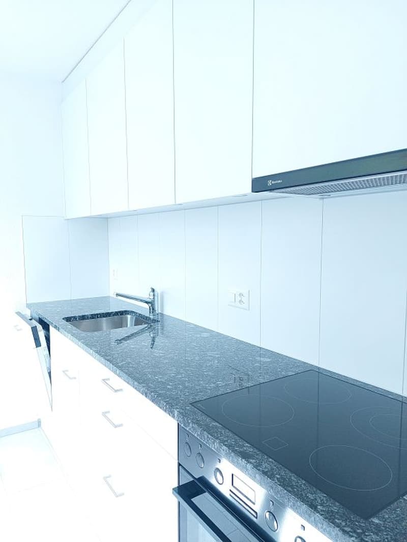 Appartamento 2 camere, 1° piano sinistro (6)