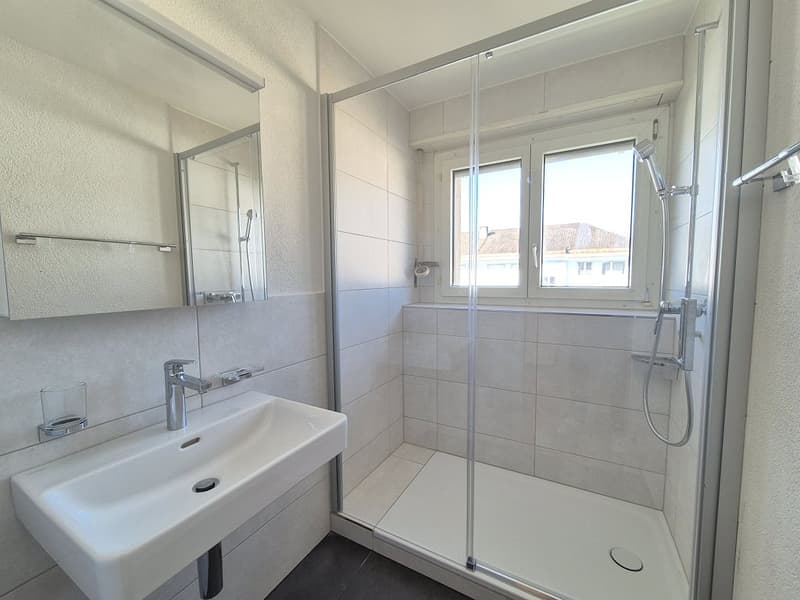 Totally renovated 4-room apartment, 2nd floor right (4)