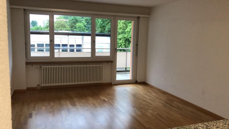 3.5 room apartment, 1st floor left (3)