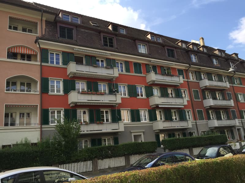 Appartamento 3 1/2 locali, 2° piano sinistro (1)