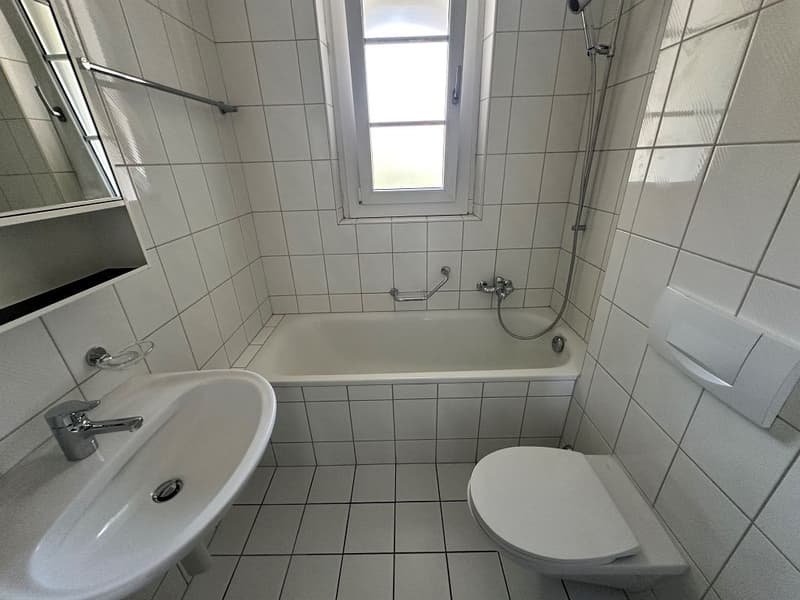 Appartamento 3 1/2 locali, 2° piano sinistro (8)